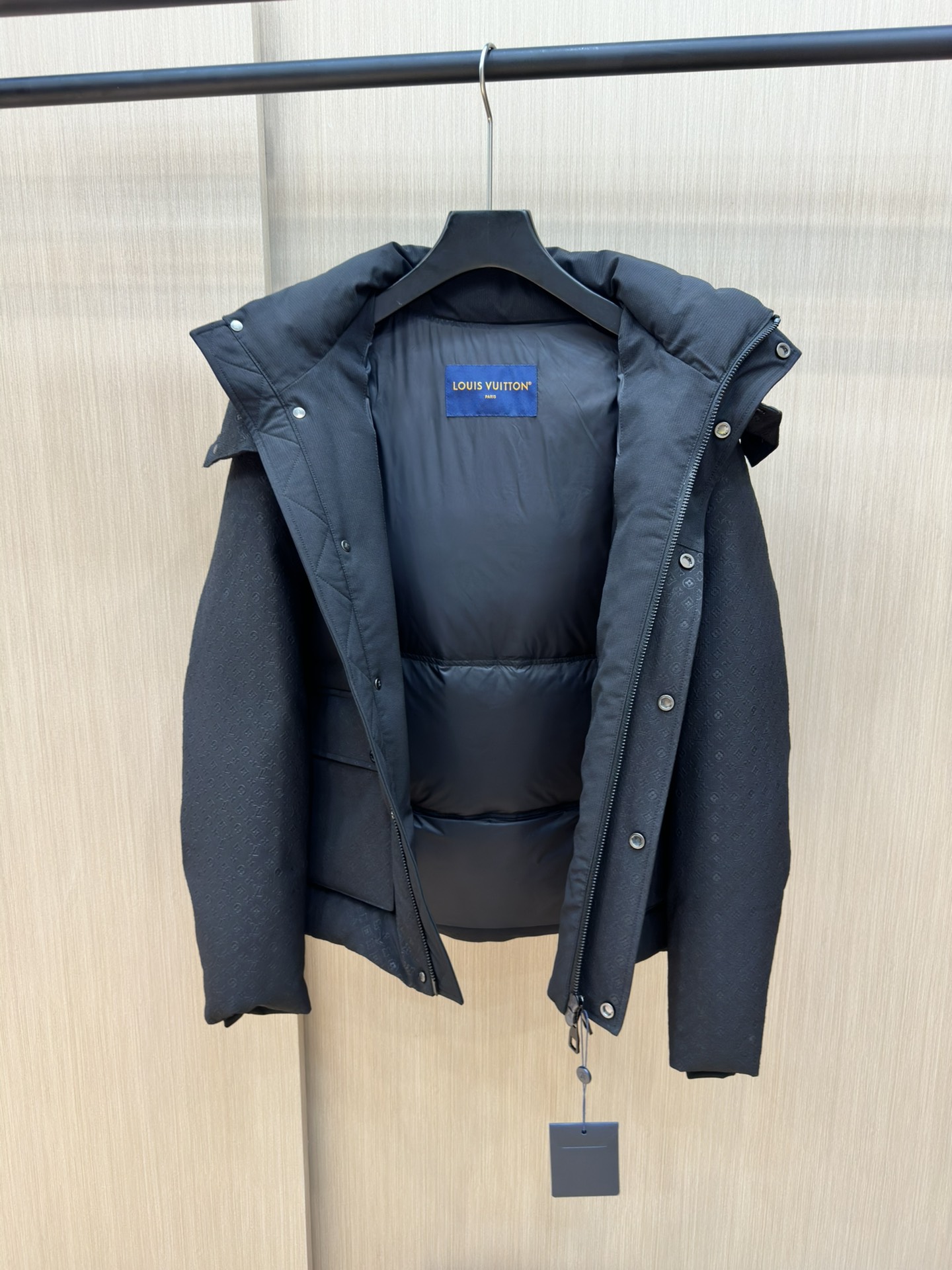 Louis Vuitton Down Jackets